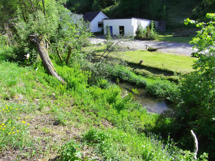 View of Stream